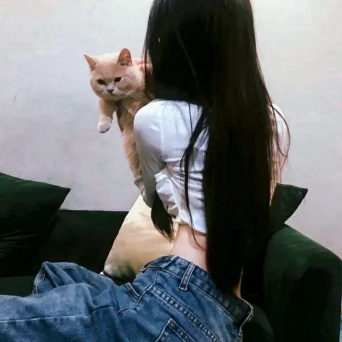 犬神家一族封面