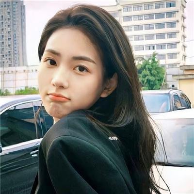狗岛的宝藏封面